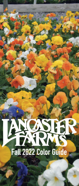 Lancaster Farms 2022 Fall Color Guide