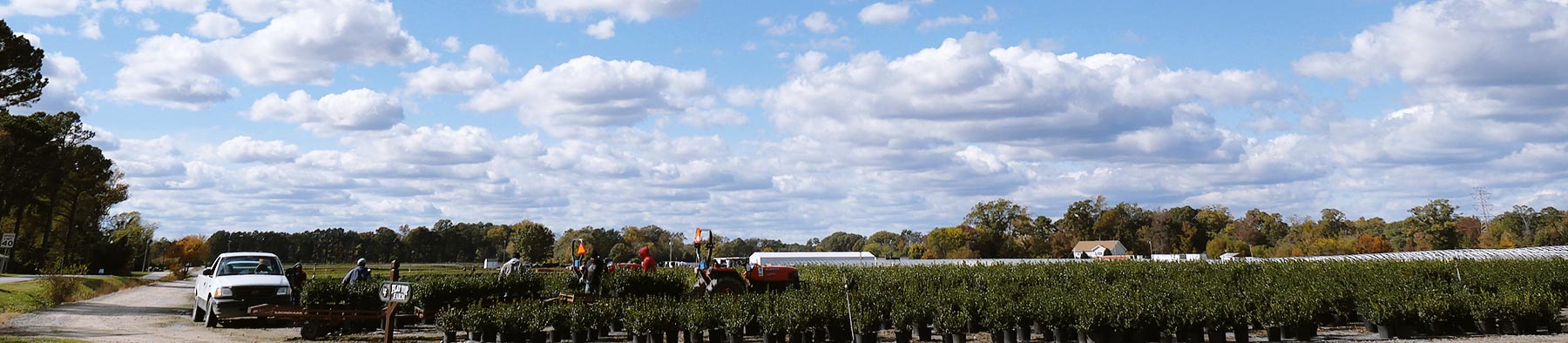 Lancaster Farms Field