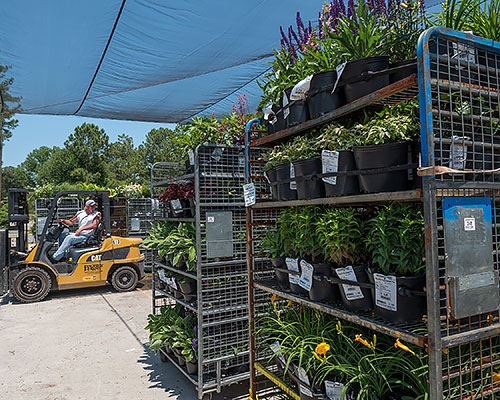 Forklift moving crops around the nursery