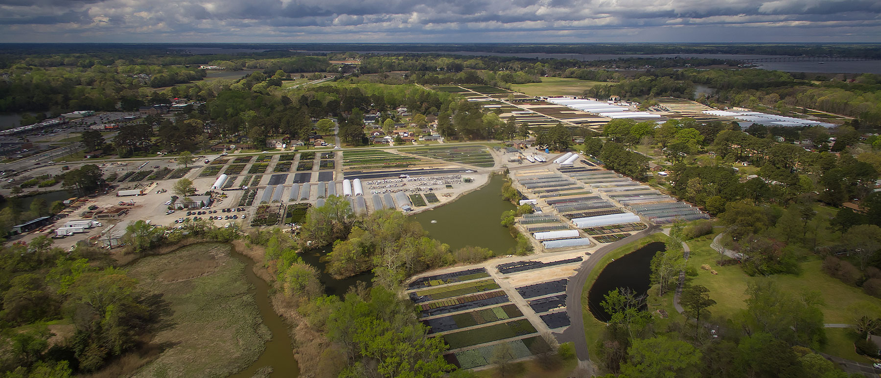 Lancaster farms wholesale nursery