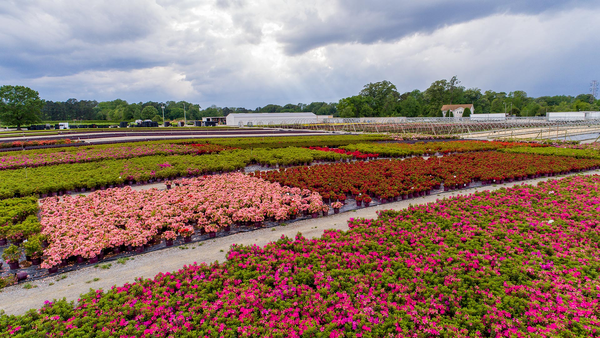 Lancaster Farms - Main Farm