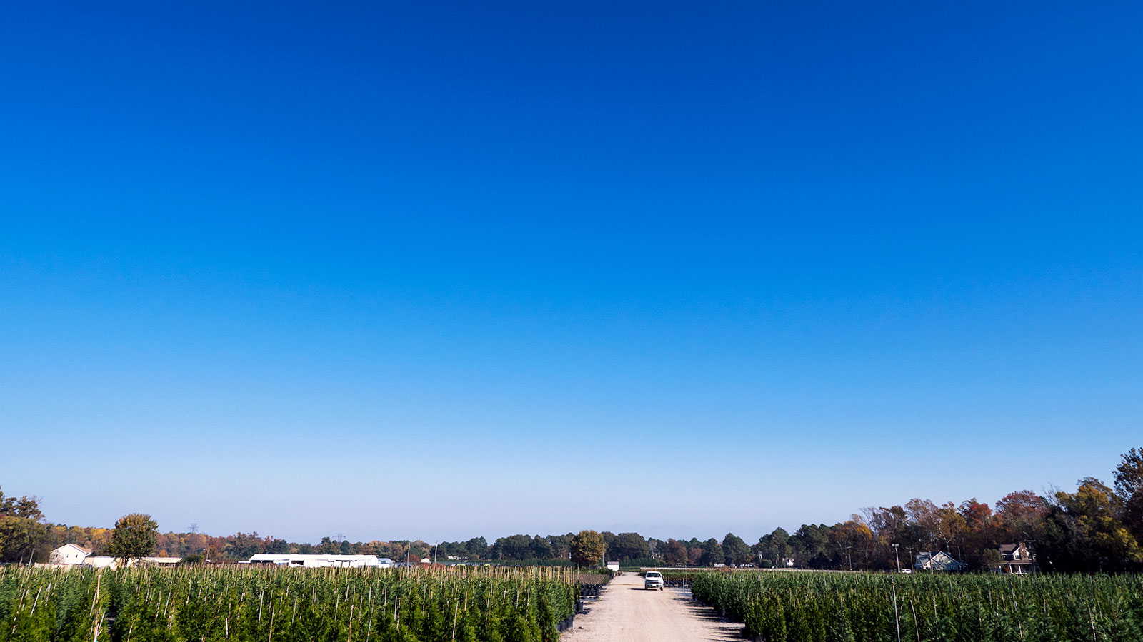 Lancaster Farms Wholesale Nursery